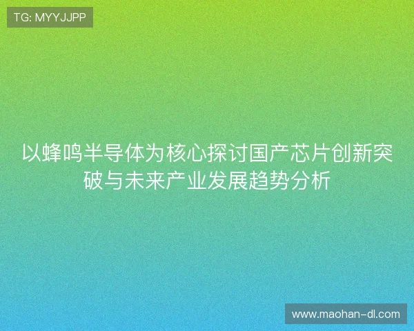 以蜂鸣半导体为核心探讨国产芯片创新突破与未来产业发展趋势分析