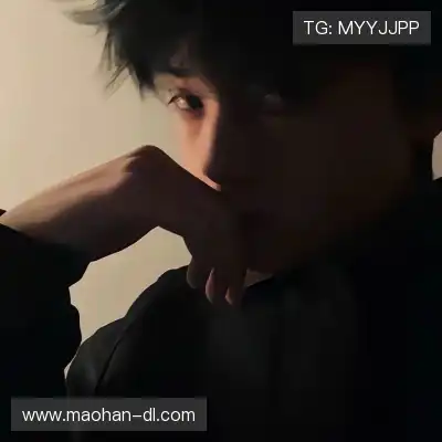 沈辉
